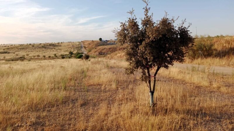 Critican como «obsoleto» el proyecto urbanístico de Retamar de la Huerta en Alcorcón.