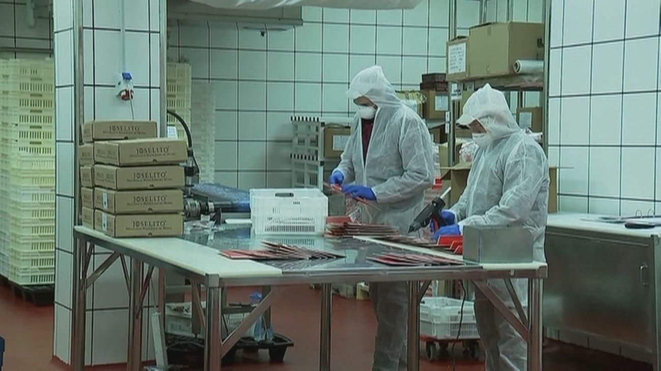 Alcorcón finaliza el año 2025 con los mejores datos de desempleo desde 2006