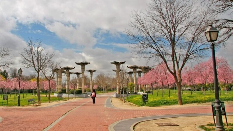 Refuerzan vigilancia en Alcorcón por robos de cableado del alumbrado público