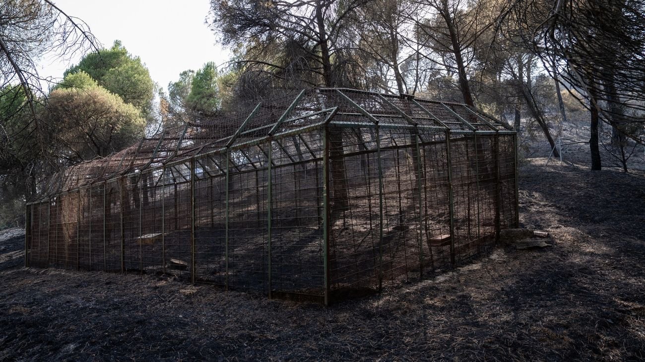 Alcorcón impulsa la Red de Ayuda Sierra Oeste para apoyar a afectados por incendios